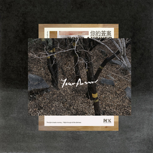 二区三区美女视频
