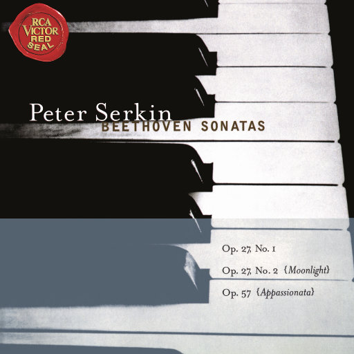 二区三区美女视频
